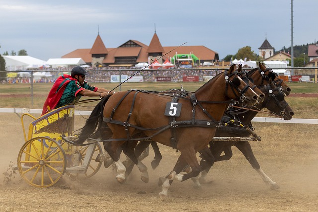 风格和不断 风格和不断